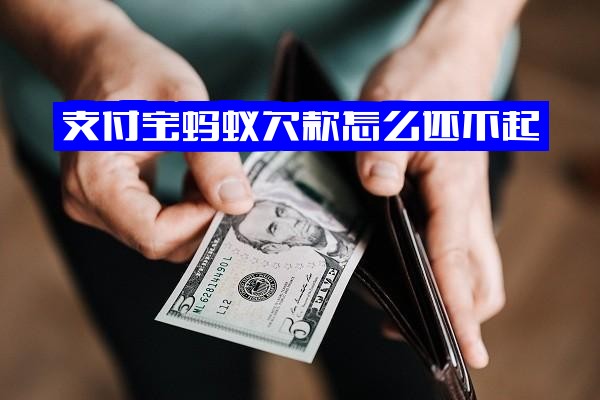 支付宝蚂蚁欠款还不起、无力还款怎么办？最佳处理方法指南