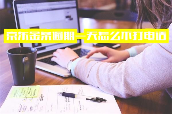 京东金条逾期一天或不到24小时为何不打电话？不接电话会怎样？逾期十天后为何又无催收电话？