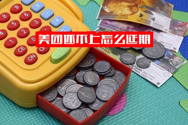 美团还不上如何延期还款及含义解析，延期到账操作与申请成功率分析