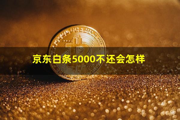 京东白条5000不还会怎样