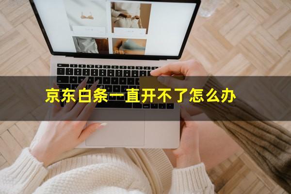 京东白条一直开不了怎么办