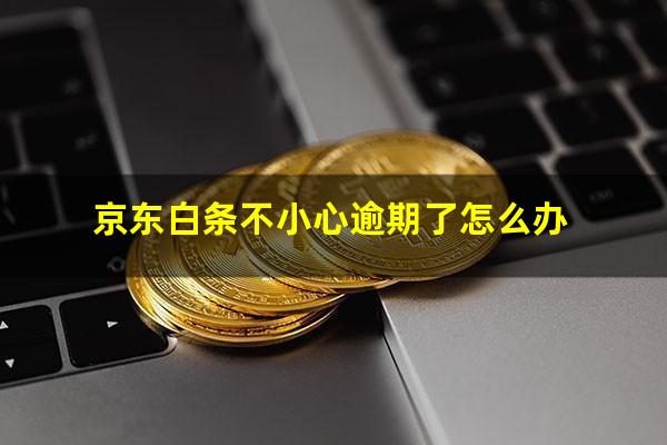 京东白条不小心逾期了怎么办
