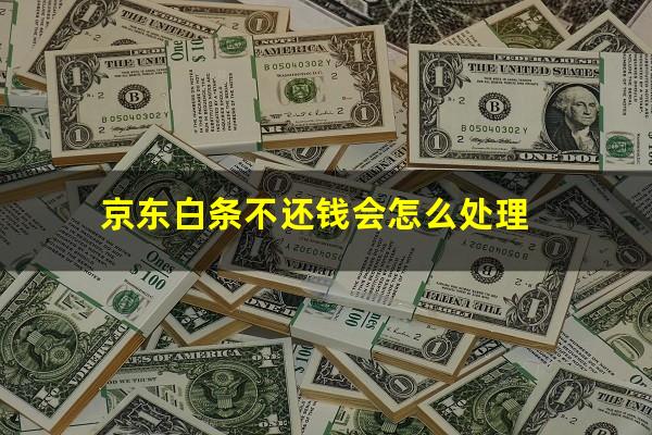 京东白条不还钱会怎么处理