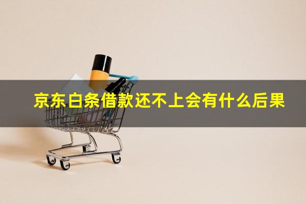 京东白条借款还不上会有什么后果