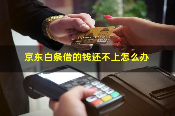 京东白条借的钱还不上怎么办