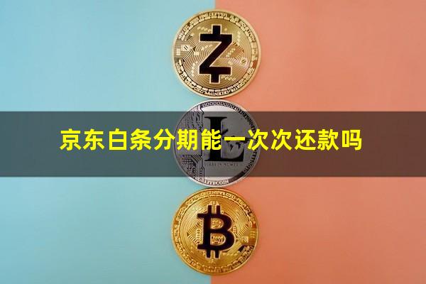 京东白条分期能一次次还款吗