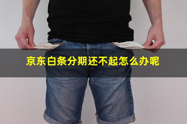 京东白条分期还不起怎么办呢