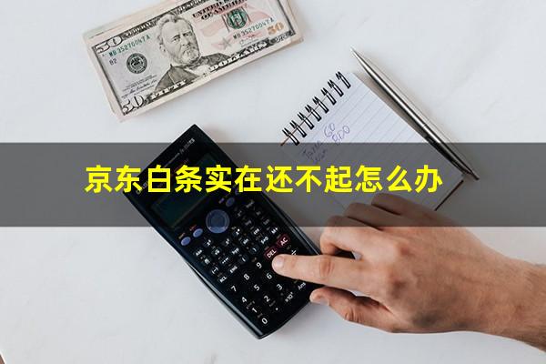 京东白条实在还不起怎么办