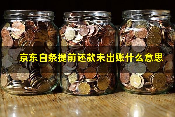 京东白条提前还款未出账什么意思