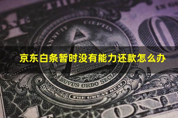 京东白条暂时没有能力还款怎么办