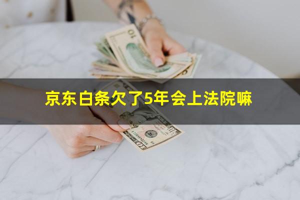 京东白条欠了5年会上法院嘛