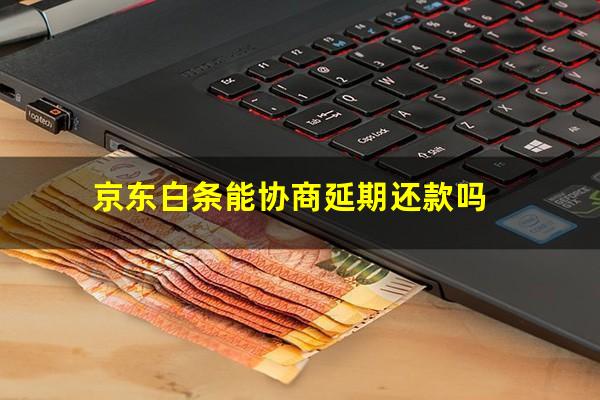京东白条能协商延期还款吗