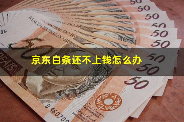 京东白条还不上钱怎么办