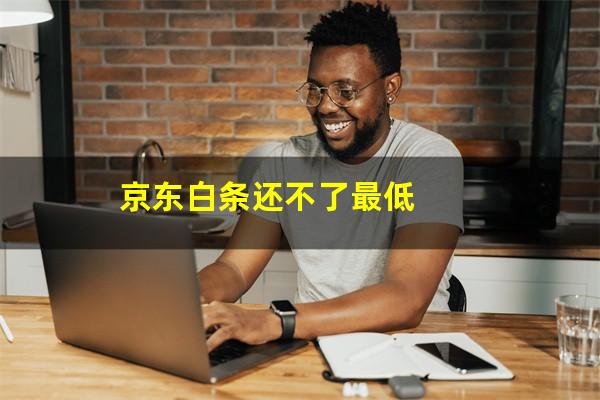 京东白条还不了最低