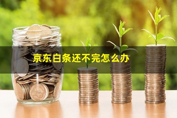 京东白条还不完怎么办