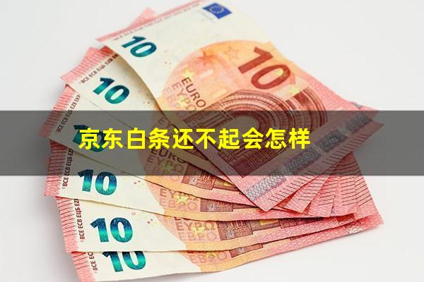 京东白条还不起会怎样