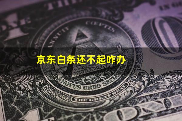 京东白条还不起咋办