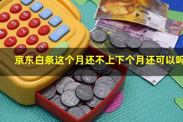 京东白条这个月还不上下个月还可以吗