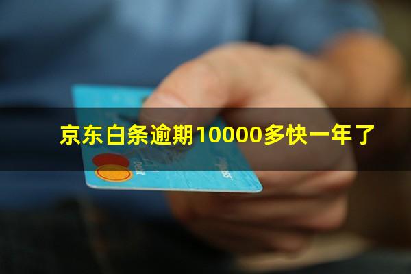 京东白条逾期10000多快一年了