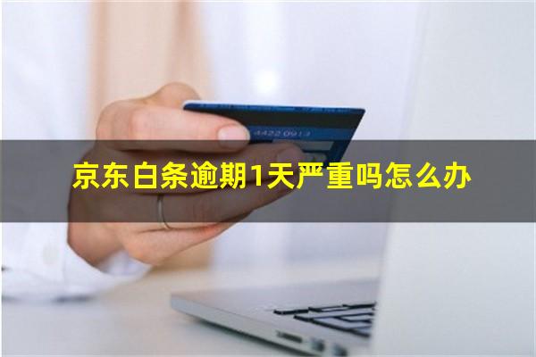 京东白条逾期1天严重吗怎么办