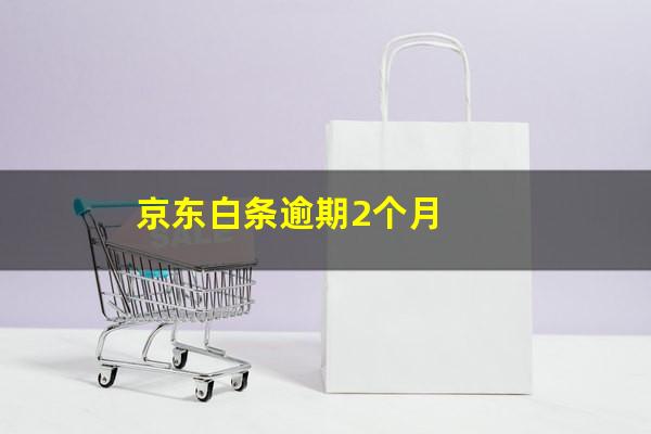京东白条逾期2个月