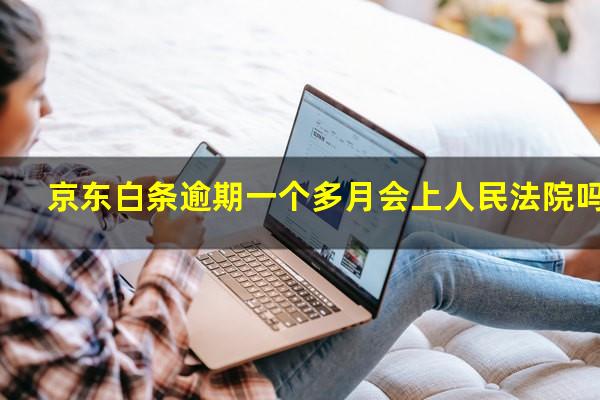 京东白条逾期一个多月会上人民法院吗