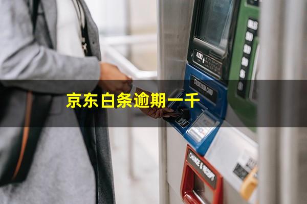 京东白条逾期一千
