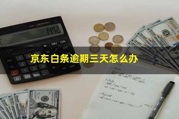 京东白条逾期三天怎么办