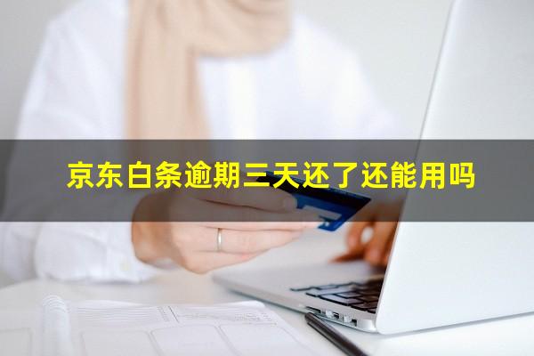 京东白条逾期三天还了还能用吗