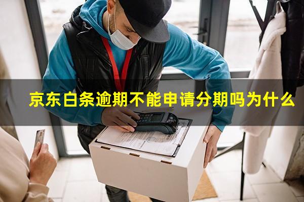 京东白条逾期不能申请分期吗为什么