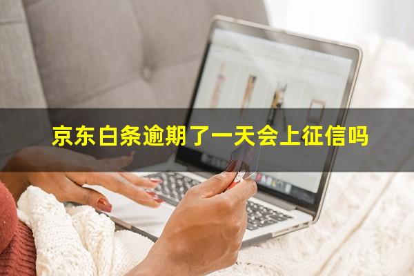 京东白条逾期了一天会上征信吗
