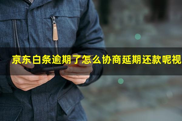 京东白条逾期了怎么协商延期还款呢视频