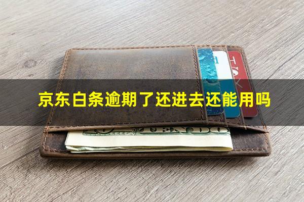 京东白条逾期了还进去还能用吗