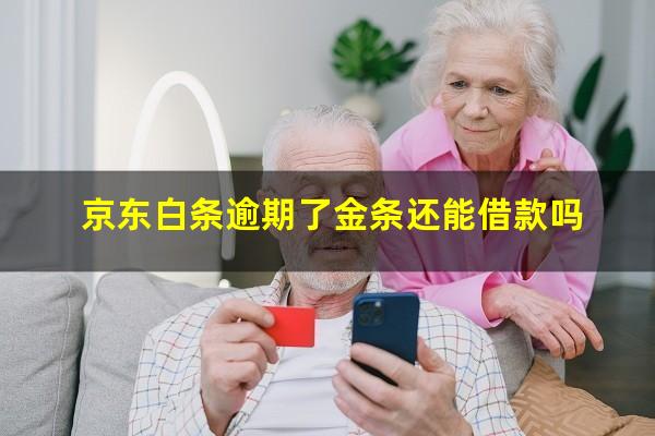 京东白条逾期了金条还能借款吗