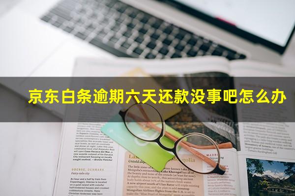 京东白条逾期六天还款没事吧怎么办
