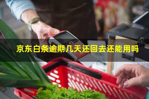 京东白条逾期几天还回去还能用吗
