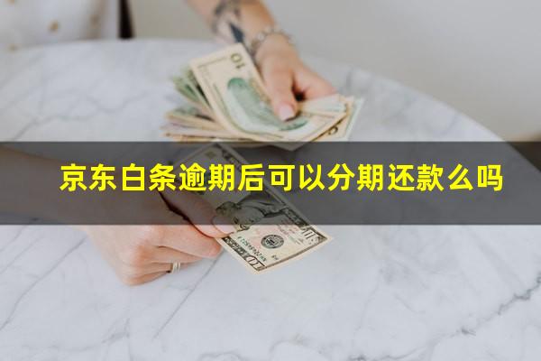 京东白条逾期后可以分期还款么吗