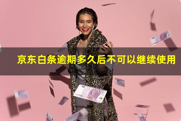 京东白条逾期多久后不可以继续使用