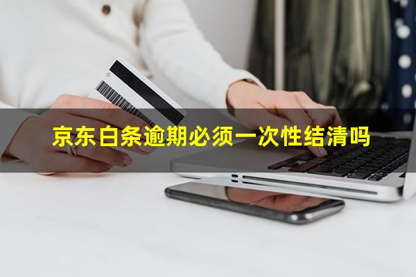 京东白条逾期必须一次性结清吗