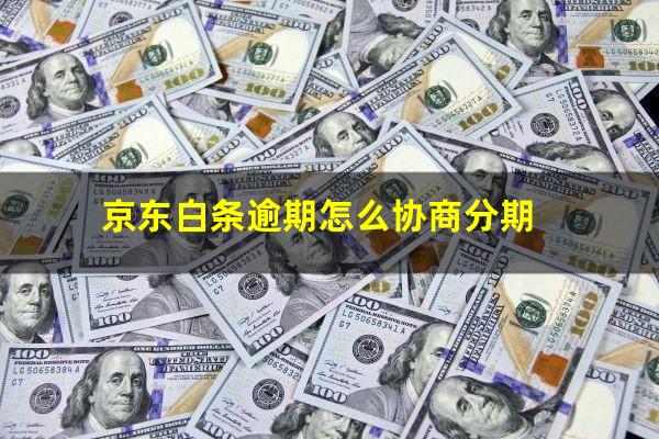 京东白条逾期怎么协商分期
