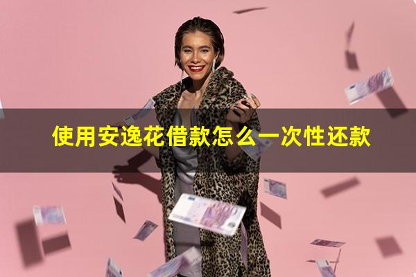 使用安逸花借款怎么一次性还款