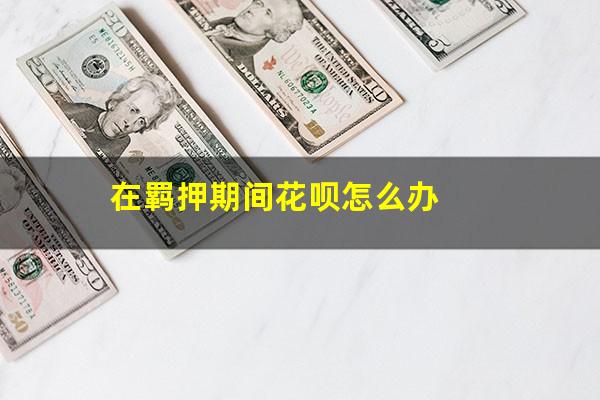 在羁押期间花呗怎么办