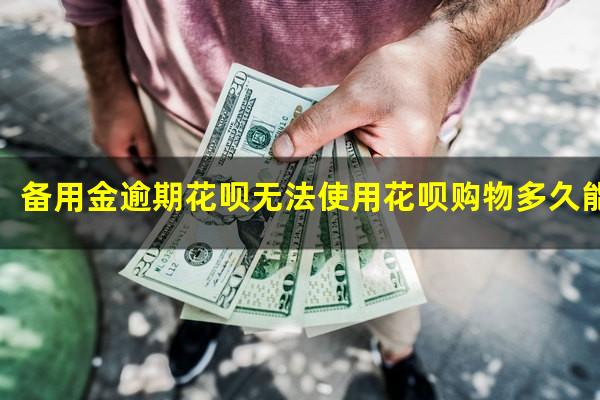 备用金逾期花呗无法使用花呗购物多久能恢复