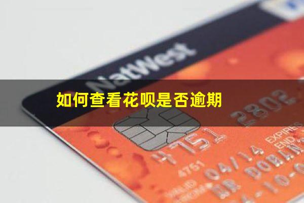 如何查看花呗是否逾期