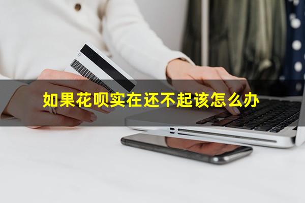 如果花呗实在还不起该怎么办