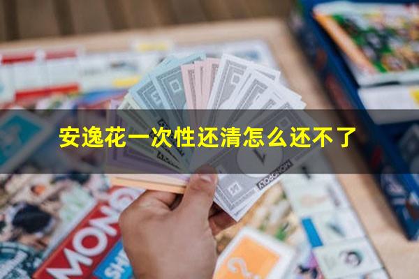 安逸花一次性还清怎么还不了