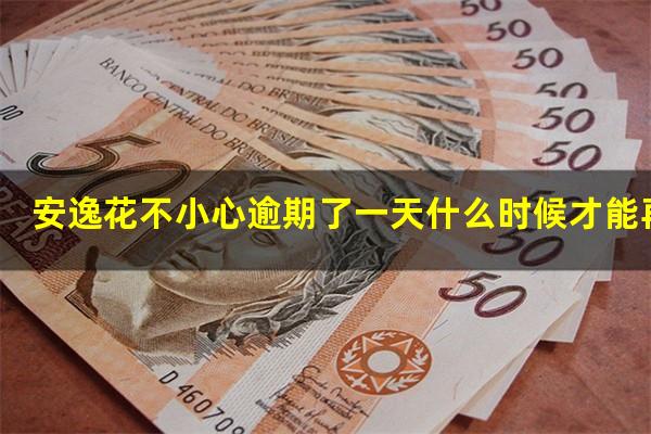 安逸花不小心逾期了一天什么时候才能再用