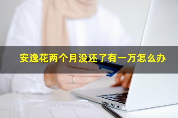 安逸花两个月没还了有一万怎么办
