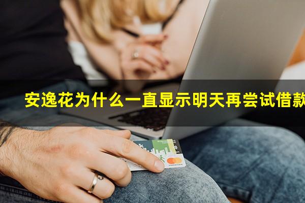 安逸花为什么一直显示明天再尝试借款