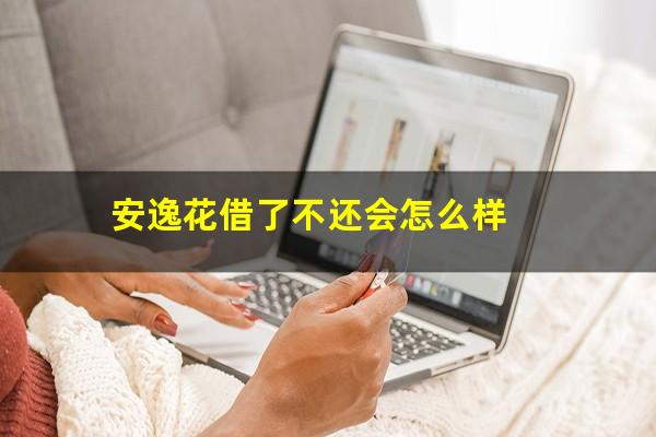 安逸花借了不还会怎么样
